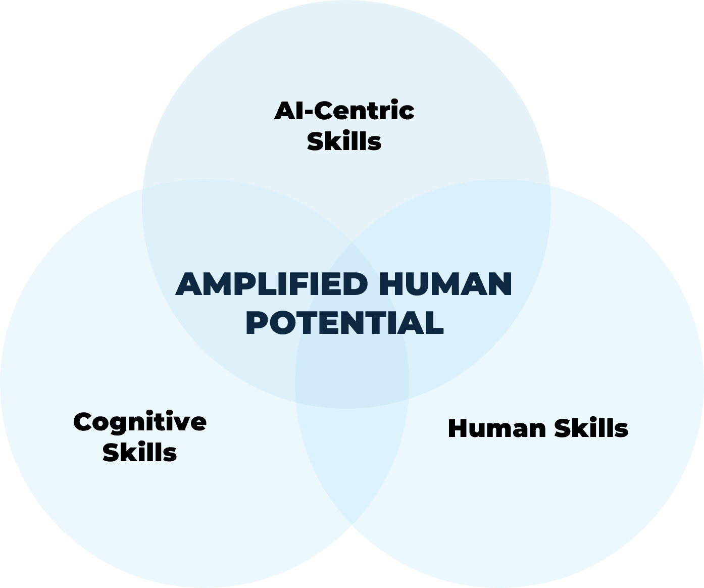 We believe the future-ready workforce is built on three interdependent dimensions of mastery.