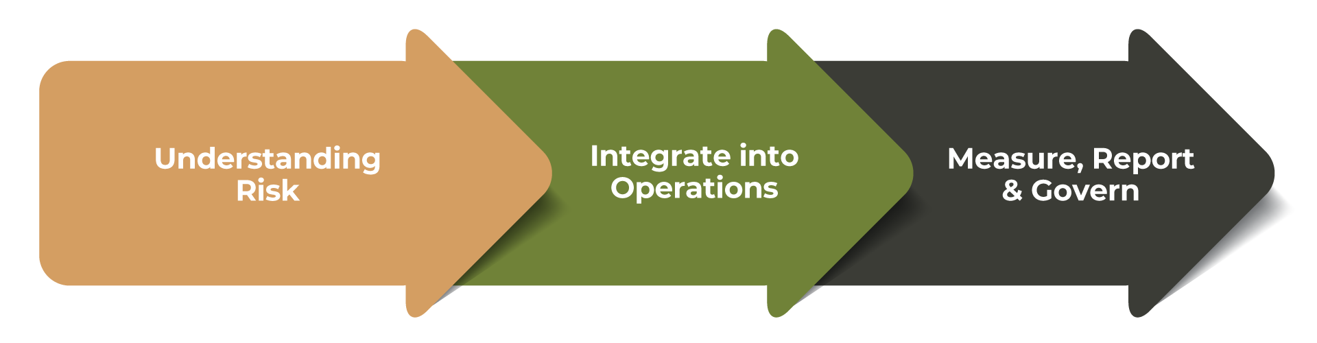 Designed for enterprises and SMEs, our programme guides you from risk identification to operational integration and robust measurement and governance, so you can turn sustainability commitments into measurable business value.