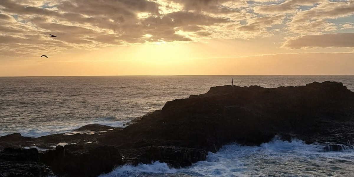 Elisha to spend five months at the University of Wollongong in Australia, from February to July 2026.